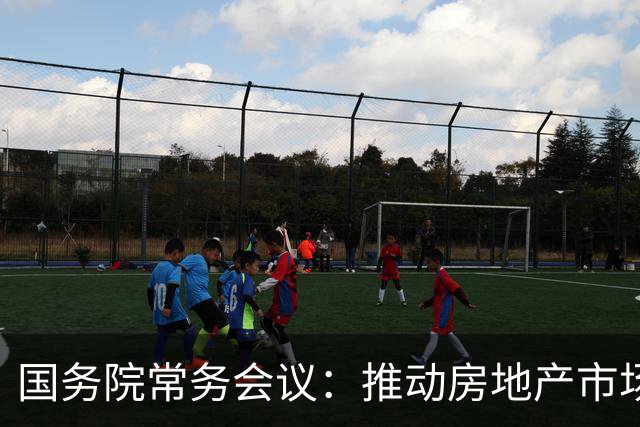 国务院常务会议：推动房地产市场稳定及促进就业政策的实施